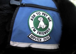 Jaspersvest for Service Dogs jaspersvest-filtered