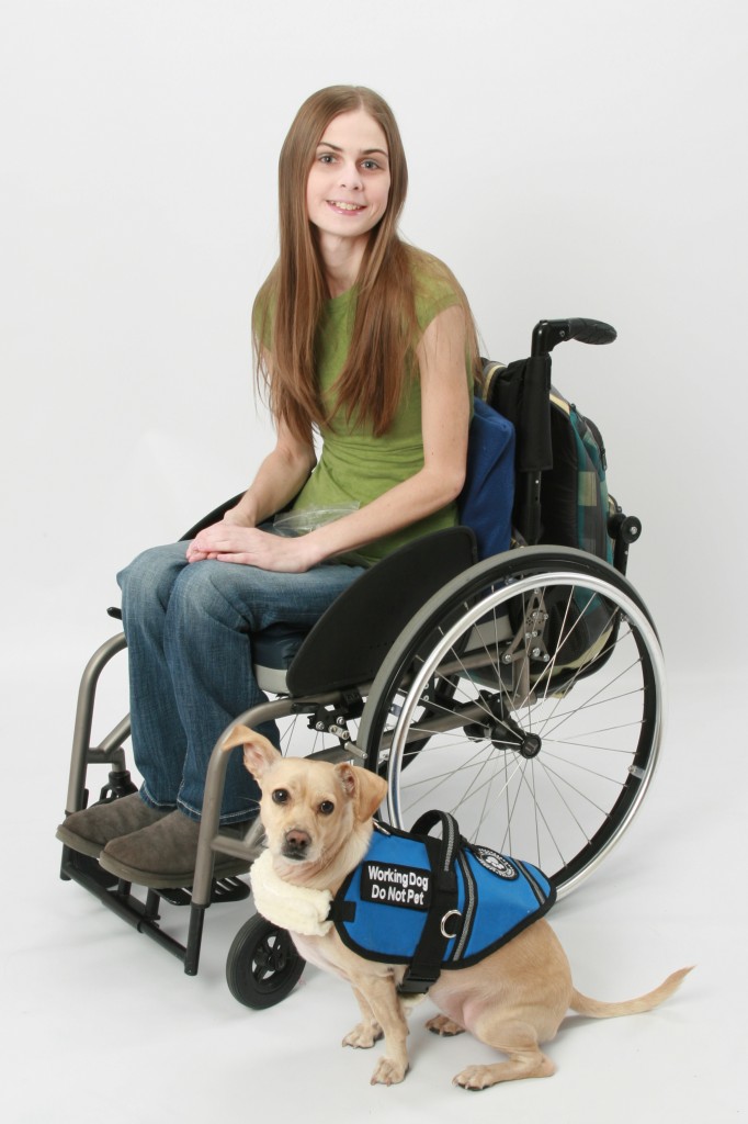 Dog &amp; Puppy Manners &amp; Obedience Training Classes in Seattle | Service Dog Academy