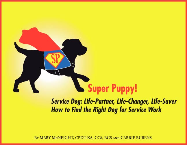 Free puppy trainer training advice to teach you how to train your own service dog find best trainer Seattle